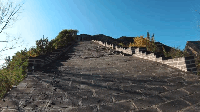5.gif