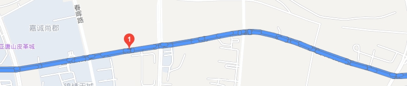 国丰大街（青年路至唐胥路段）.jpg